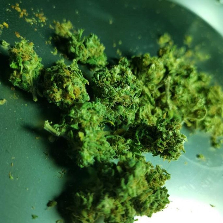 StarTexaco's tweet image. +1 (402) 313-9152 contact me on Whatsapp if u need?