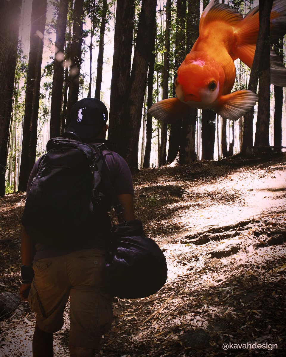 kavazed's tweet photo. Wild nature.

More - https://t.co/qKLK8DP7po

#follow #visitlink #like #photoshop #edits #graphicdesign #graphicdesigner #fish #ella
#travel #WednesdayThoughts #NotInMyName #edits https://t.co/bXJyMOy9nQ