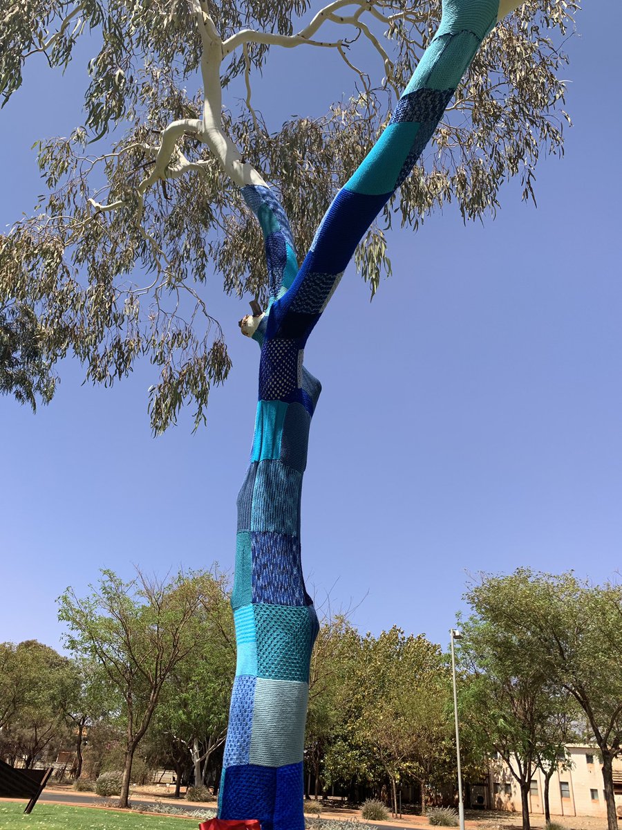 EQRotary's tweet photo. @EQRotary Secretary Danielle Winzenried in Newman at the Shire of East Pilbara’s unveiling of a blue tree to mark Mental Health month, raising awareness about mental wellbeing @Rotary #MentalHealthAwareness https://t.co/sNvpYiXX9c