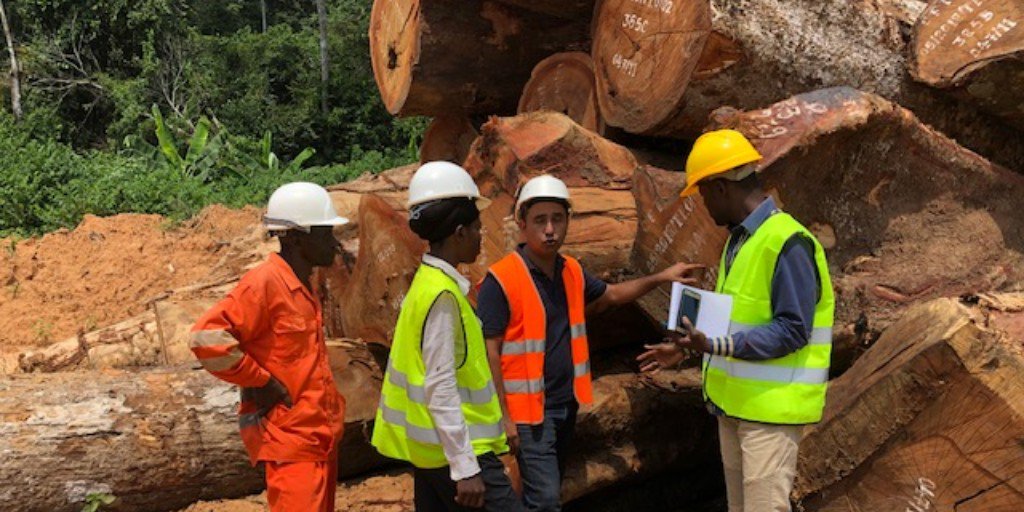 PreferbyNature's tweet photo. Compagnie Forestière de Transformation (CFT) obtained #LegalSource certification for its #forest #concessions. This is the first third-party #legality certification after almost a decade in #DRC. 

Read more: https://t.co/iVCGMNvuWe 

 #legaltimber #Kisangani #Tshopo https://t.co/fmAU7wA4hi