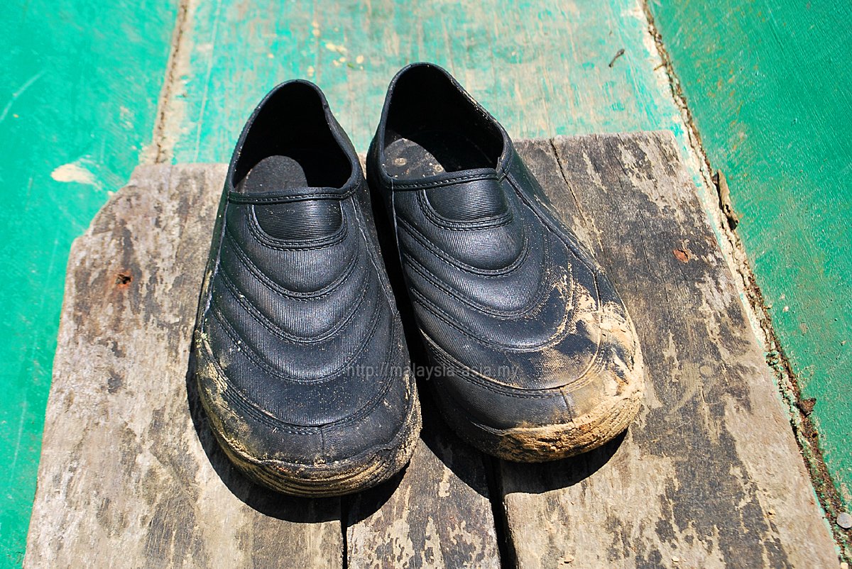 adidas kampung hiking