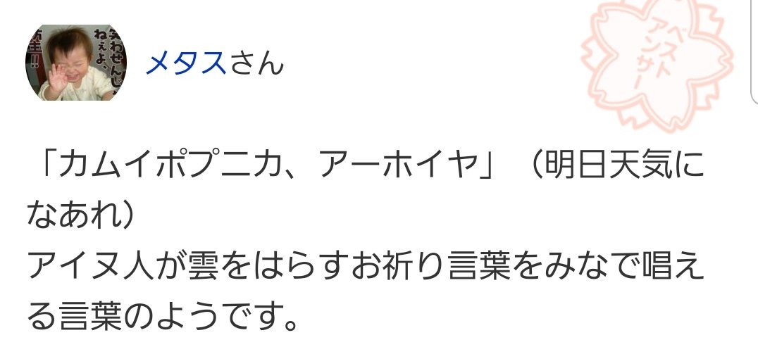 カムイ パパイヤ アホー イヤ