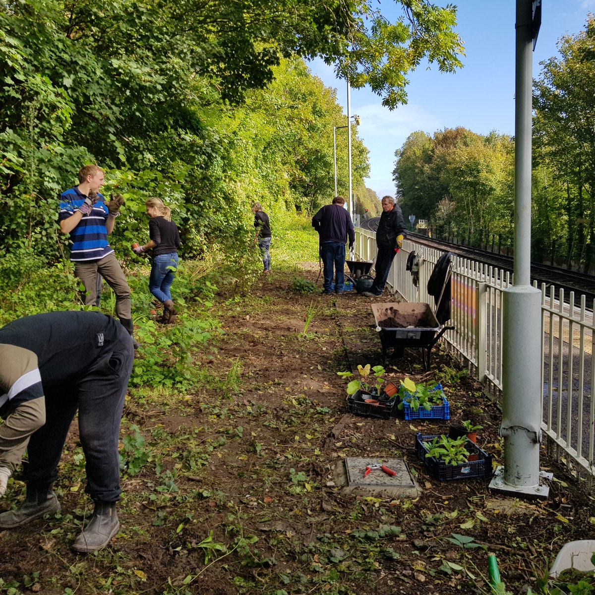 Fresh from our @BHCityinBloom Gold Award Y1 @MoulsecoombSch planted garlic, hunted veg, scoffed raspberries & scones & practiced firelighting, while our volunteers & @stjohns_sussex planted a bee bank at Moulsecoomb station @SussexCRP with plants grown by @thebevy Friday Friends