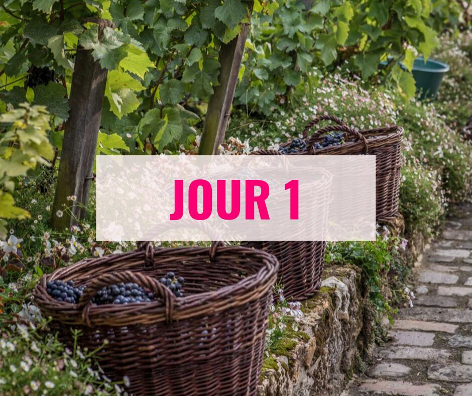 FDVMontmartre's tweet photo. @FDVMontmartre jour 1, retrouvez l'intégralité de la programmation par jour et par thématique ici https://t.co/LyooWjH4Ev Auj expos et soirée de lancement à la @mairie18 à 19h30 #FDVM2019 #vendanges #paris18 #paris https://t.co/ZnRVjQ0zEB