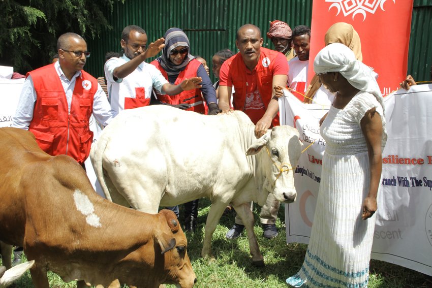 EthioRedCross tweet picture