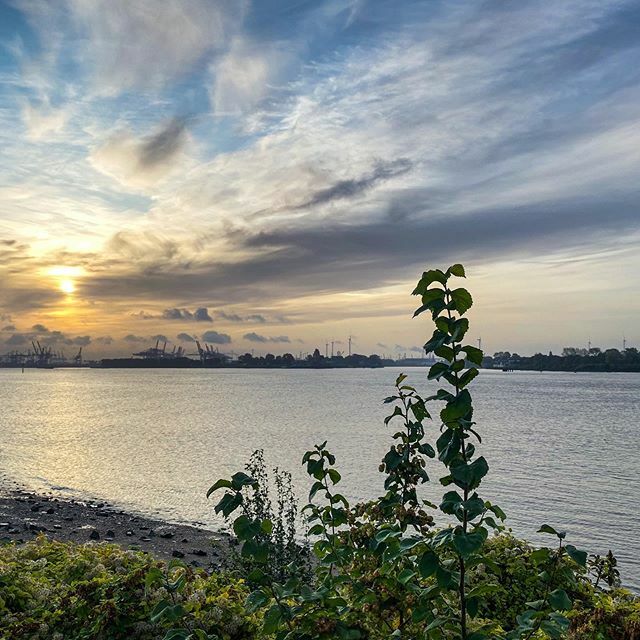 ...
Ein normaler Start in den Hamburger Tag, oder?
...
📌 Teufelsbrück
📷 @embador
...
✖️ Markiere deine Hamburg-Fotos
✖️ Tag #IgersHamburg
...
#igershamburg #igers #hamburg #hamburgahoi #hamburg_de #meinhamburg #hh #hamburgcity
#hamburgermomente #hamburgentdecken #hamburgmein…