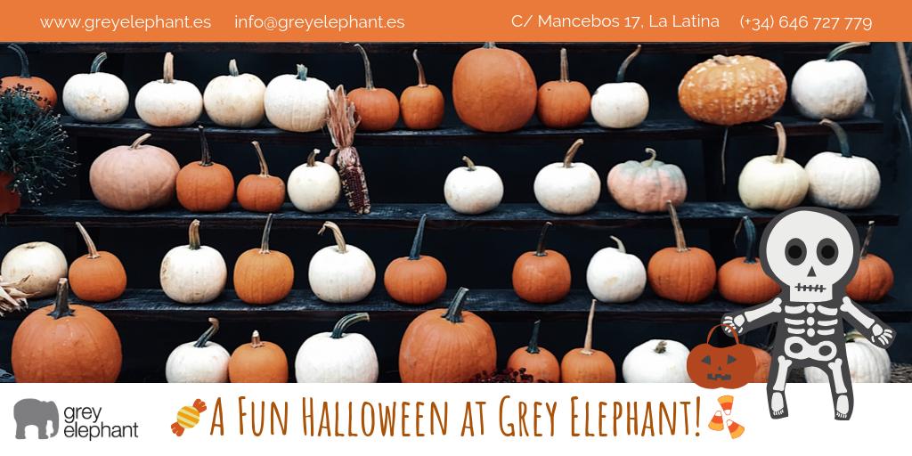 Grey Elephant tweet media