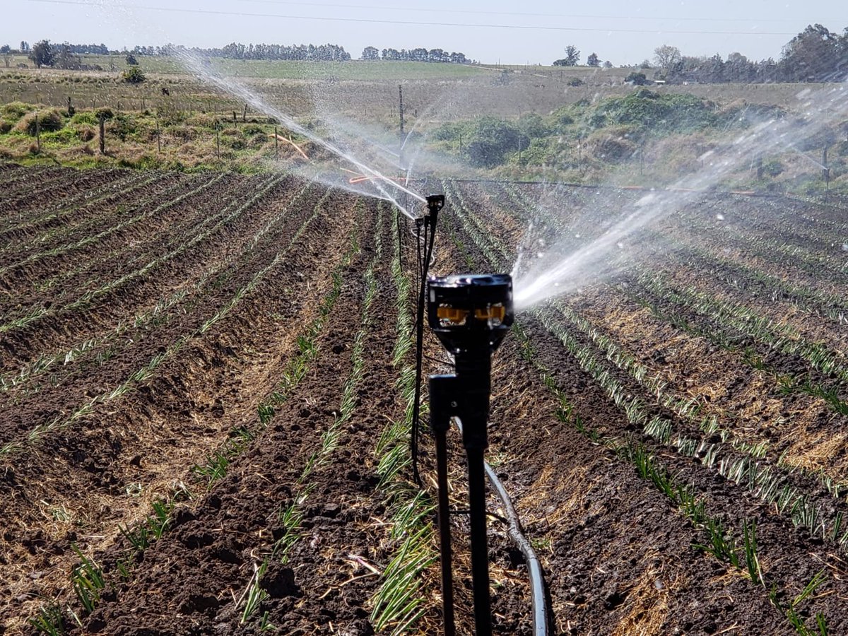 RivulisOfficial's tweet photo. Modern-advanced irrigation, such as the one developed by @NaanDanJain , does make magic - transforming Lives and Landscape and providing Food and Water security for millions around the world.
No wonder one of NDJ's top #Sprinklers is called #Magic_Drive! https://t.co/F7E8FDNBhx https://t.co/XDFM9yN34W