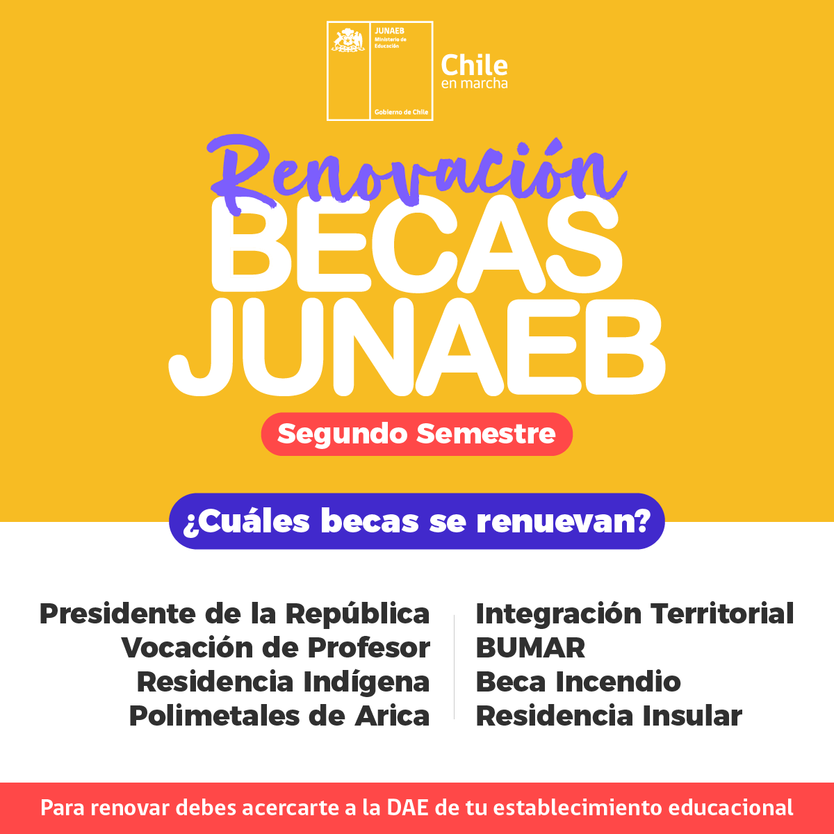 junaeb's tweet photo. 🚨 ¡Quedan 4 días! Si estás en educación superior y tienes una de estas becas ⬇ Renuévala en la DAE de tu casa de estudios. Tienes plazo hasta el 15 de noviembre. https://t.co/fLrP5gloFW