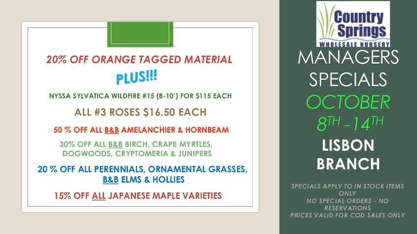 CSpringsLisbon's tweet photo. If you haven't stopped in lately, we really want you to come see our specials! https://t.co/258WbaHizr https://t.co/DmZF2zqNdk