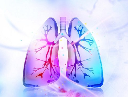 AsbestosAwareUK's tweet photo. What is Pleural Thickening and how dangerous Is it?
https://t.co/O9EV8eVQDL https://t.co/oiPMHu5KmA