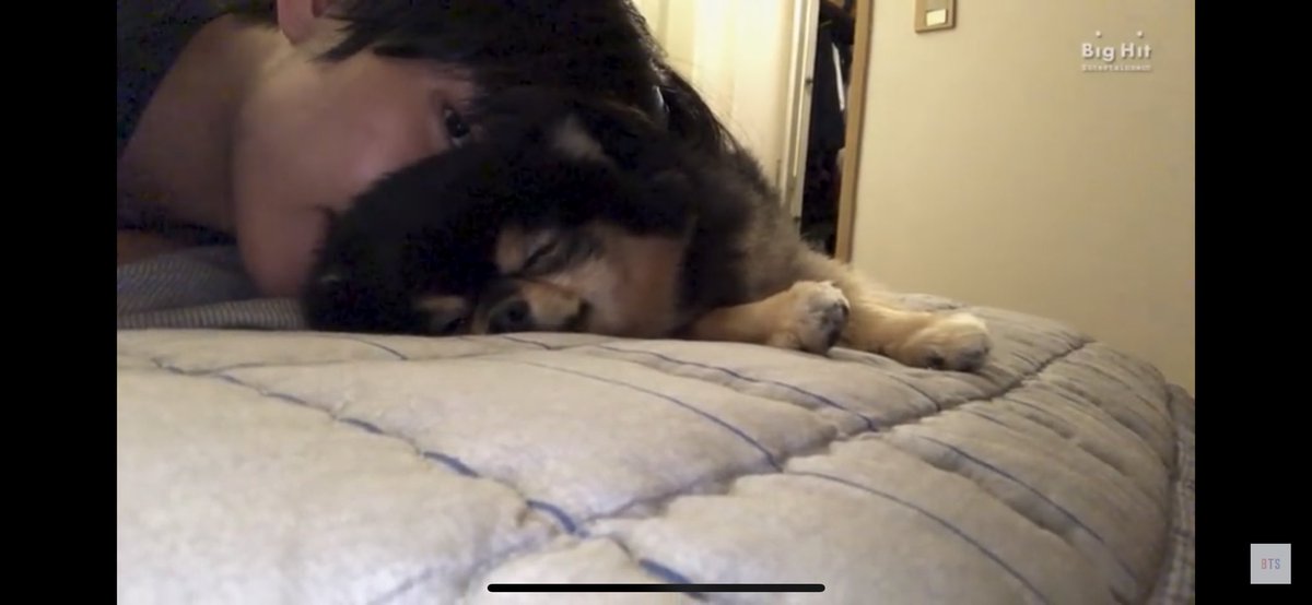 NorwegianBAS's tweet photo. Today’s vlog: A real (V)log (feat. Tannie).

ARMY 💜 Who is watching the vlogs with us?

🎬 https://t.co/cJtxTuWFh2

#VonVACATION #BTSVacationLOG #BTS @BTS_twt https://t.co/JfTyvLKmmO