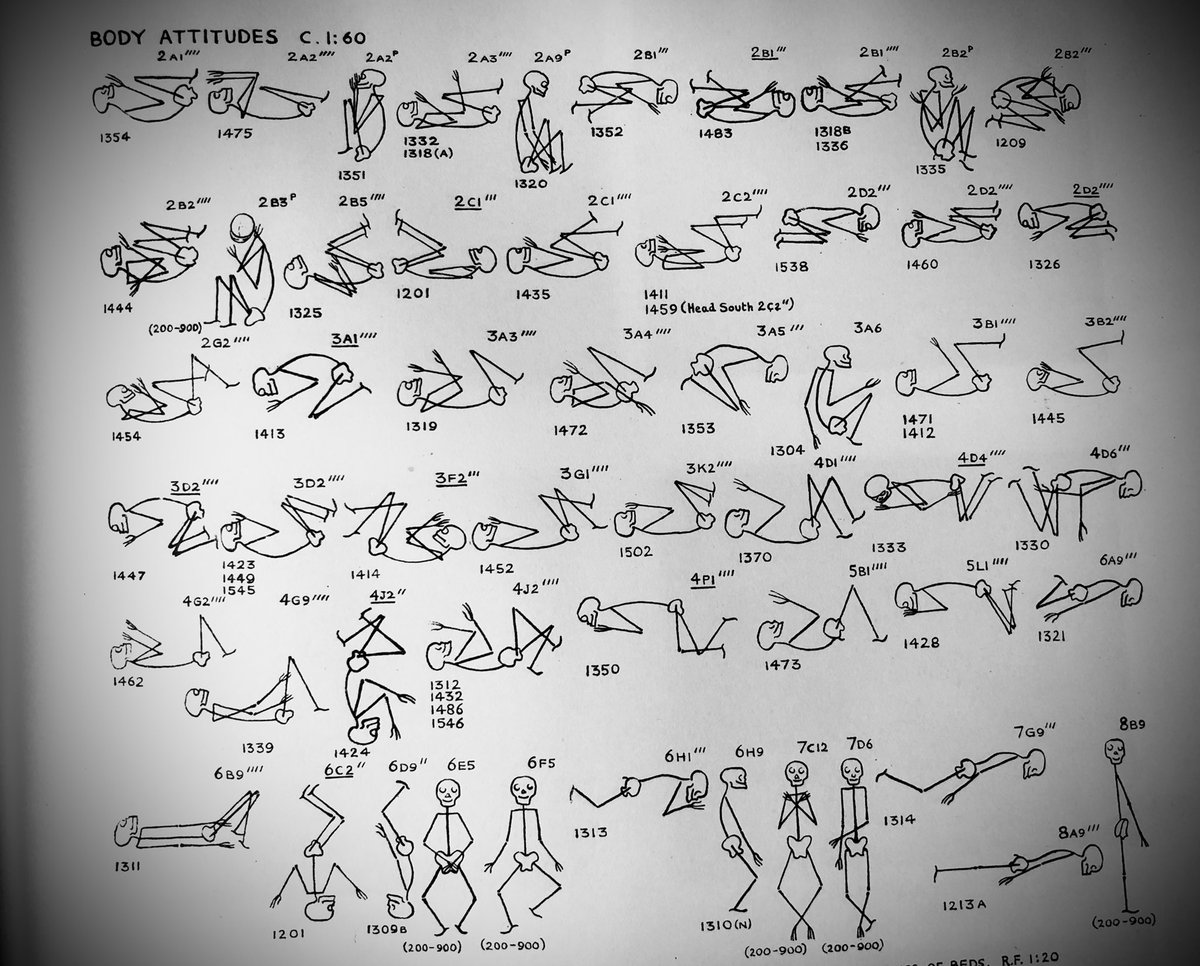 CGraves88's tweet photo. Well, this wasn’t the plate i was expecting... 💀 like ancient dance moves! #Armant #BodyAttitudes https://t.co/mQvnYLgMiU