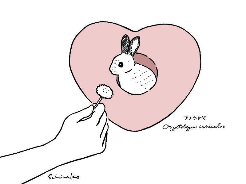 Day 9
心の穴に住むアナウサギさん
#inktober #Inktober2019 #Inktoberday9