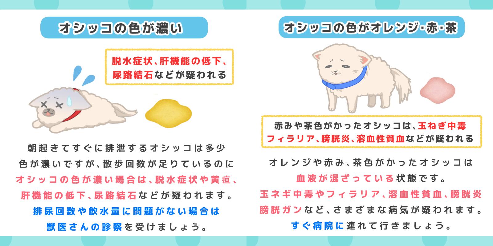 ট ইট র ペットフード販売士 ドッグトレーナー ゆき 犬のおしっこ は健康のバロメーターの1つです 色やニオイ 量などを普段からチェックして見てください 犬のごはん塾 犬のいる暮らし いぬのきもち T Co Jnsbjtzqb7 ট ইট র