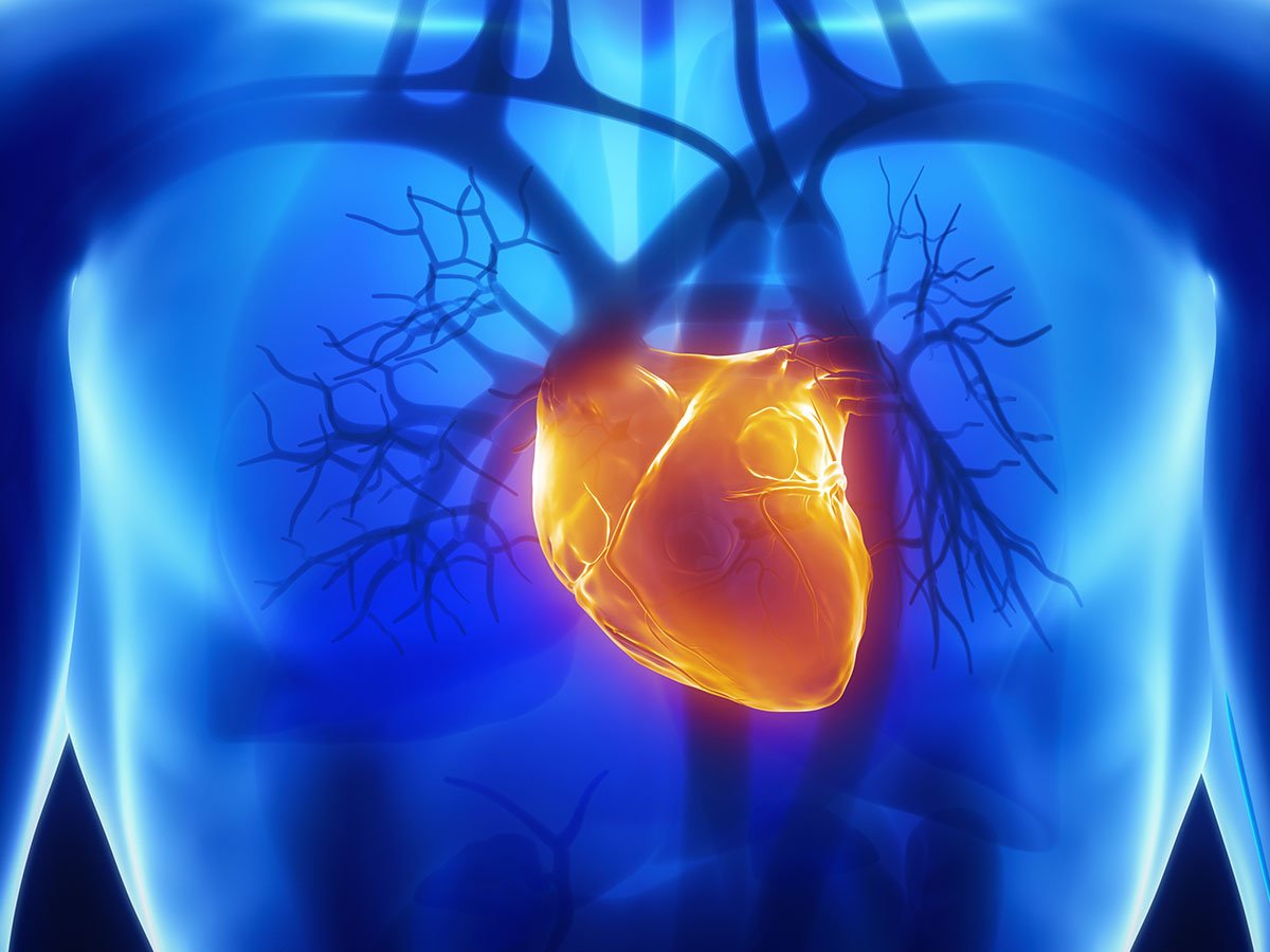 Transplantation cardiaque : Quelle place pour le HIIT dans la rééducation ?
bit.ly/2LVeJvo
#HIIT #heart #transplantation #science #sport