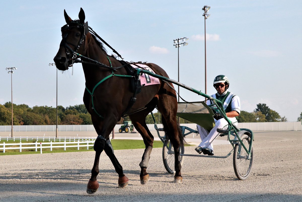 hoosiernations's tweet photo. Good Morning @yoderstable13 @Ray_Cheyenne @yoder_james @Chris_wponies @joe_norte @rebelsart @jtlburn @kimberlymoier @GlenPeckinpaugh @vnssa926 @KathleenBaitzel @joe_norte @elliotgordon2 @SadandSulk @BradA53472906 @INStandardbred @HoP_Racing #RebaBlueChip #VerlinYoder #PlayHP https://t.co/iUXCOVvUmQ