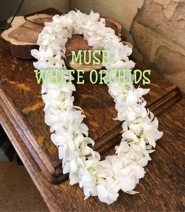 kinvodas's tweet photo. MUSE: White Orchids https://t.co/kXFy4rYhc1