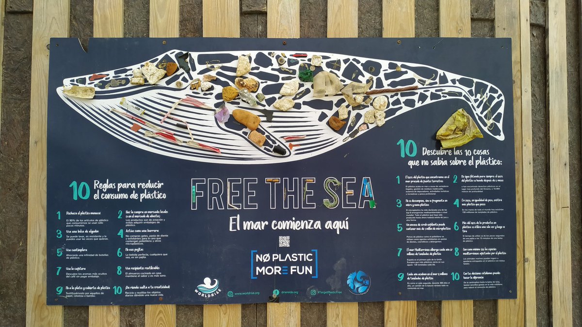 notthispath's tweet image. 🌊 10 Reglas para reducir el plástico + 10 cosas sobre el plástico que no sabias 👇🏾

📷 Tarifa, Cádiz

#TargetPlasticFree #BuidTheChange