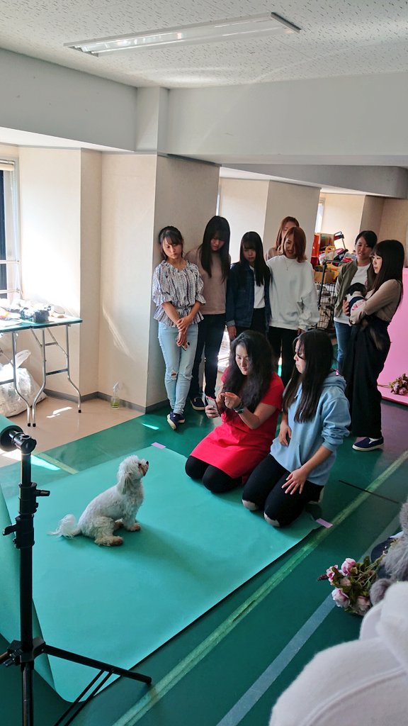 国際ペット総合専門学校 Twitter ನಲ ಲ 特別講義 昨日と今日はカメラマン杉本奈々重先生をお迎えし ペットフォト講座を開催しました スマホでかわいく撮影出来る技術を教えていただきました 国際ペット総合専門学校 飼育しつけ学科 トリマー学科
