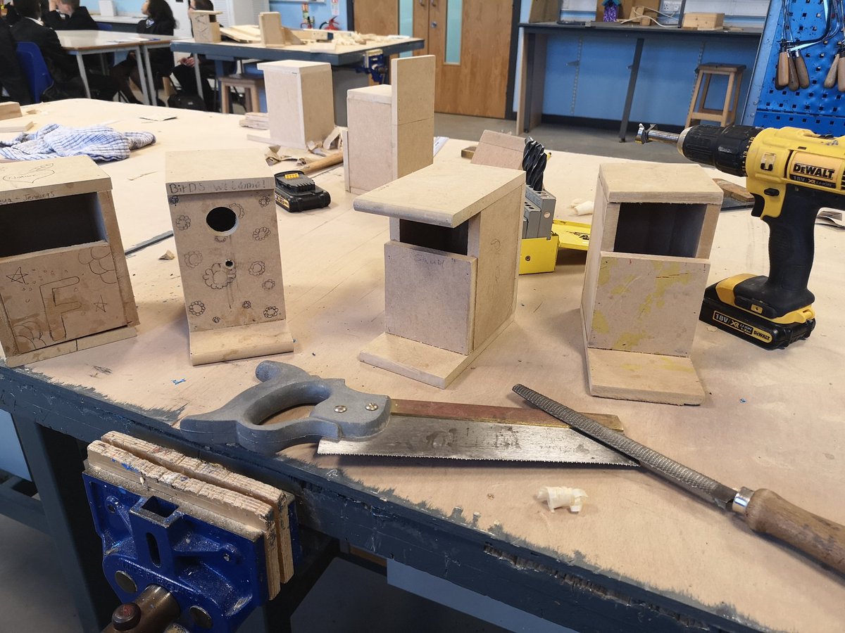 Year 7 practical 3D Design projects to create bird boxes for the local area. @AlbionAcademy #carpenter #education #coreskill