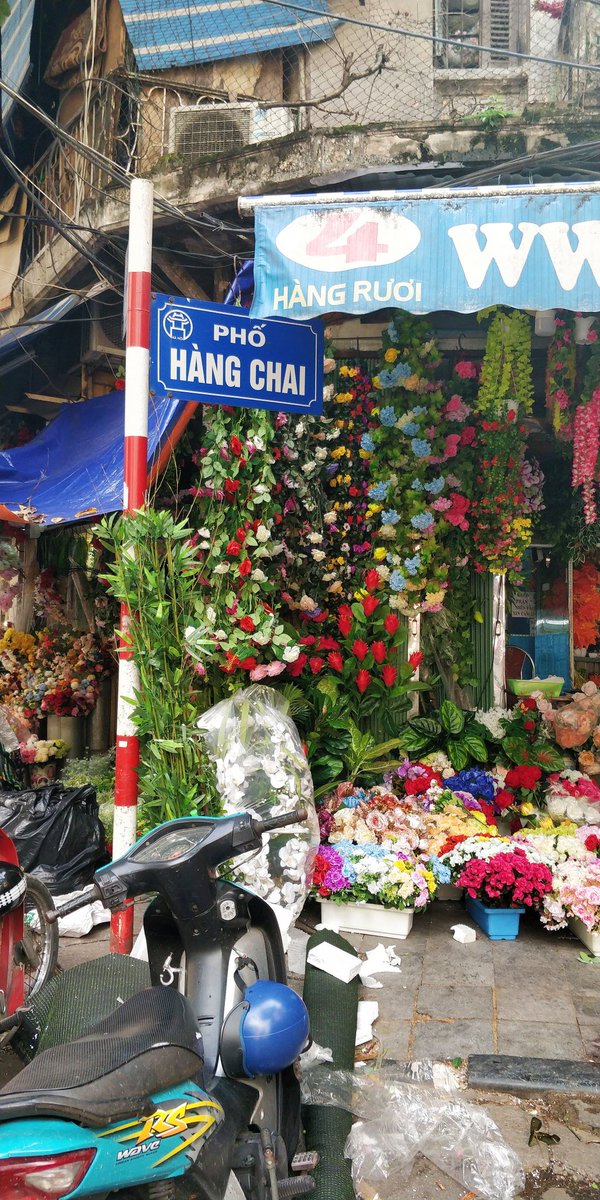 MeganFF's tweet photo. These are a handful of pics from random moments reality has hit me and I've gone 'oh shit I'm actually living and working in Vietnam right now wtf' x https://t.co/FIAwLOzo0z