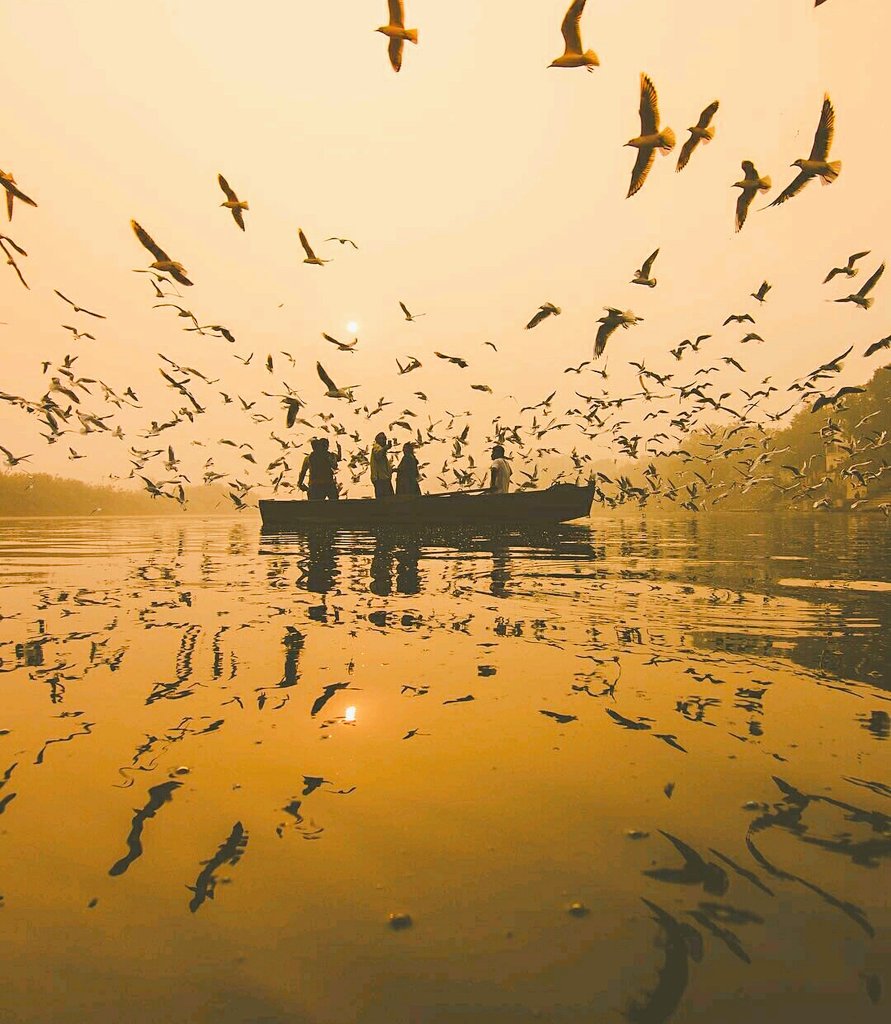 rjanardhan's tweet image. Festive joys connecting to the oneness for Enlightenment and beyond. Let's celebrate life. 🎉
#ContestAlert #Contest2 #TheGreatIndianFestivalContest #iReliefContest
@iReliefServices 
🎉🌷🎁👉🌠✌️👌
@kalpana7867 
@Godisgreat001 
@s4success2win 
@iwasbornhot 
@prashantjm786 ✌️ 🎉