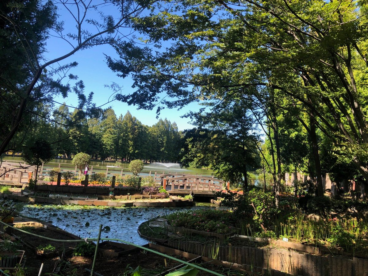 Mydeskspace Di Twitter 今日は心地よい秋晴れでした 別所沼公園でのウォーキング ランニング日和です 別所沼公園 中浦和 武蔵浦和 シェアオフィス Mydeskspace Di Twitter 今日は心地よい秋晴れでした 別所沼公園でのウォーキング ランニング日和です 別所沼公園 中浦和 武蔵浦和 シェアオフィス