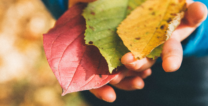 Academy Today tweet media