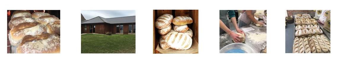 Earth & Fire tweet media