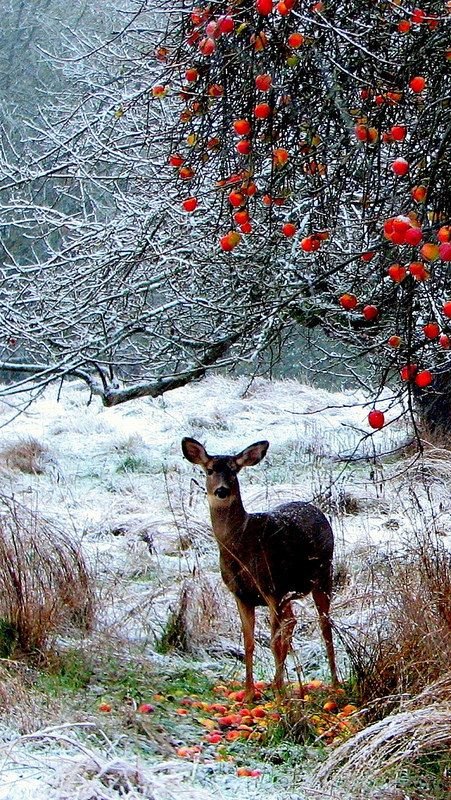 mystiq_princess's tweet photo. Nature’s sublime wonderlands, the admiration and joy of the world. John Muir https://t.co/8of5wqRDzM