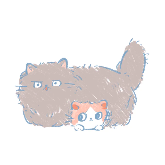 もっぷ(冬の姿) 