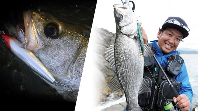 تويتر Shimano Fishing على تويتر ルアークロスwebマガジン 新着記事 ヒラスズキ シーバス デイゲームw攻略マニュアル T Co Awgcniyhim 鈴木斉 ヒラスズキ シーバス エクスセンスジェノス エクスセンス ロッド ルアー シマノ Shimano Fishing