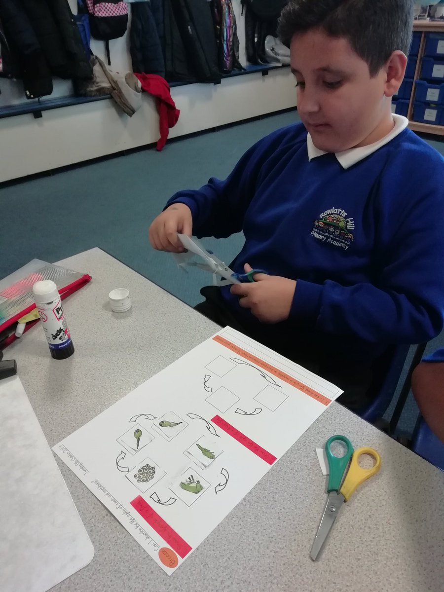 Rowlatts_TMET's tweet photo. Class Morpurgo are learning about life cycles. They have shown a great understanding and have come up with great questions! #rhscience #curiosity https://t.co/s1ar9yDRS0