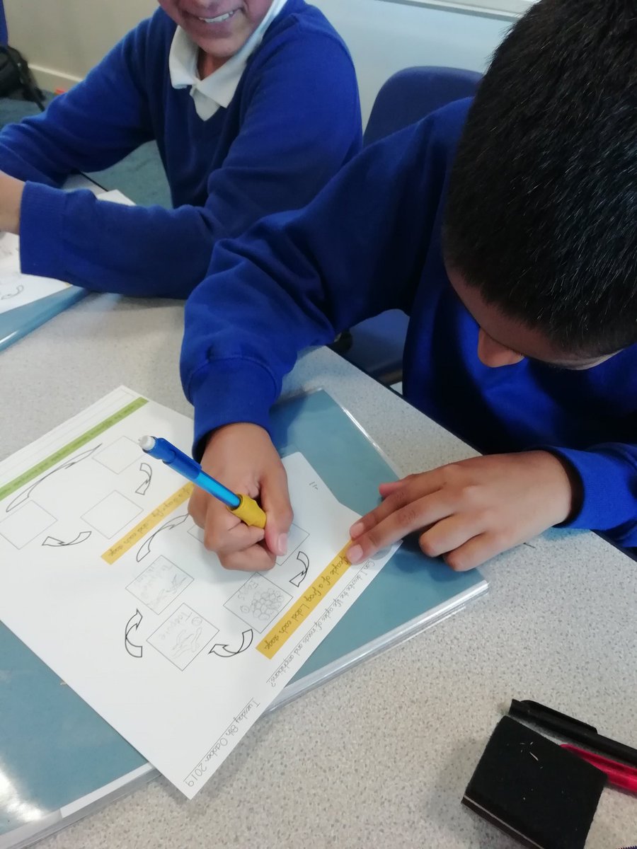 Rowlatts_TMET's tweet photo. Class Morpurgo are learning about life cycles. They have shown a great understanding and have come up with great questions! #rhscience #curiosity https://t.co/s1ar9yDRS0