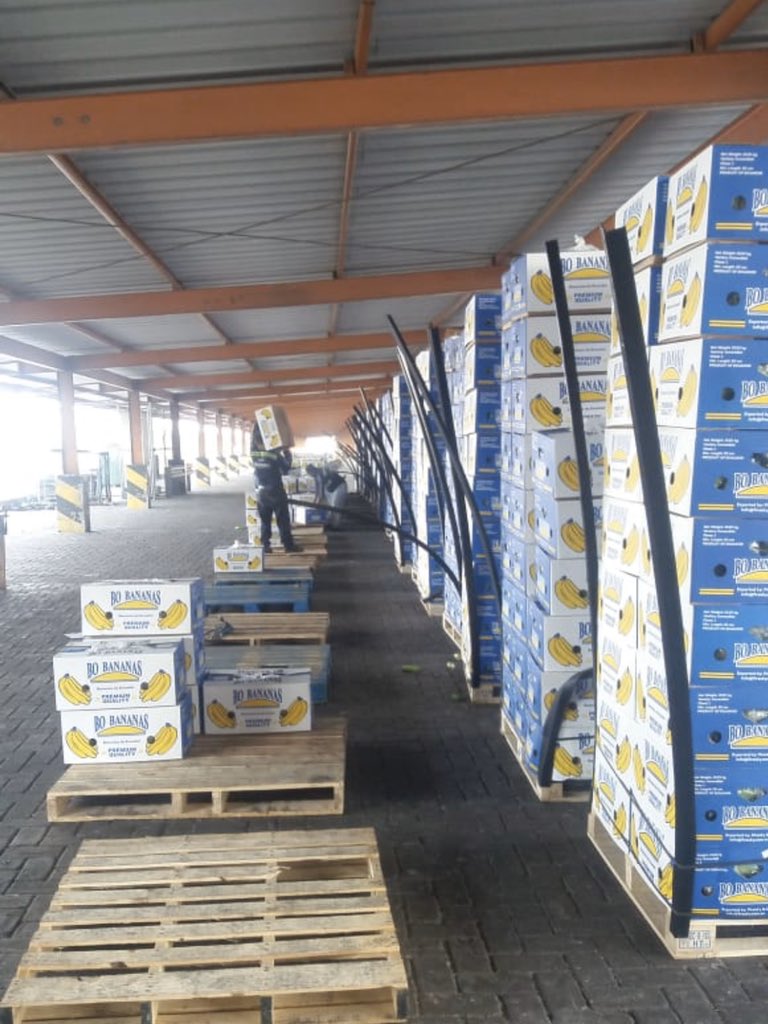 SETI_GROUP's tweet photo. La labor de nuestras empresas no para jamás!!! Seguimos trabajando al servicio del Comercio Exterior de nuestro país, enfocados siempre en esforzarnos por cumplir la meta de tener un Ecuador pacifico, próspero, justo y soberano @PuertoGye @lacamaragye https://t.co/SfALecoJ2G