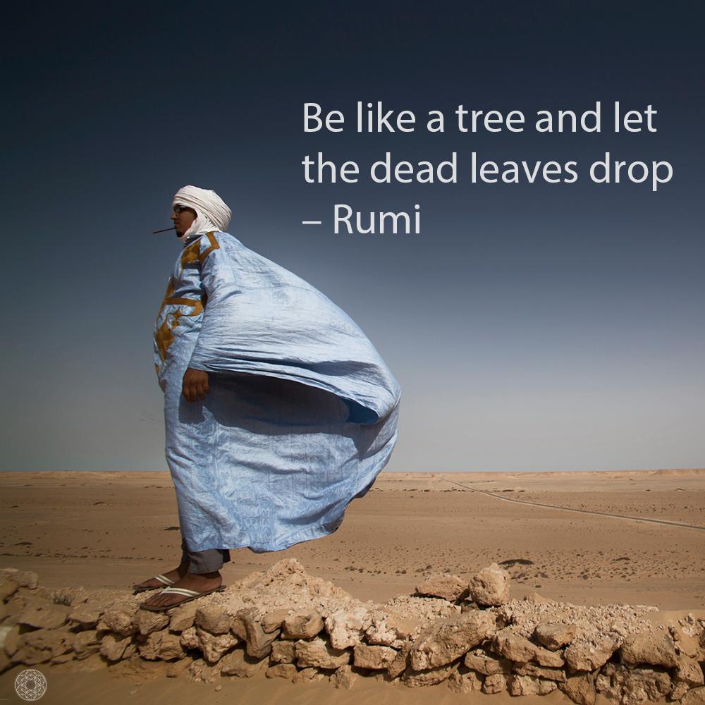 “Be like a tree and let the dead leaves drop” – Rumi
Photo credits: © <a href="/aliberrada/">ali berrada</a> #rumi #oneness #love