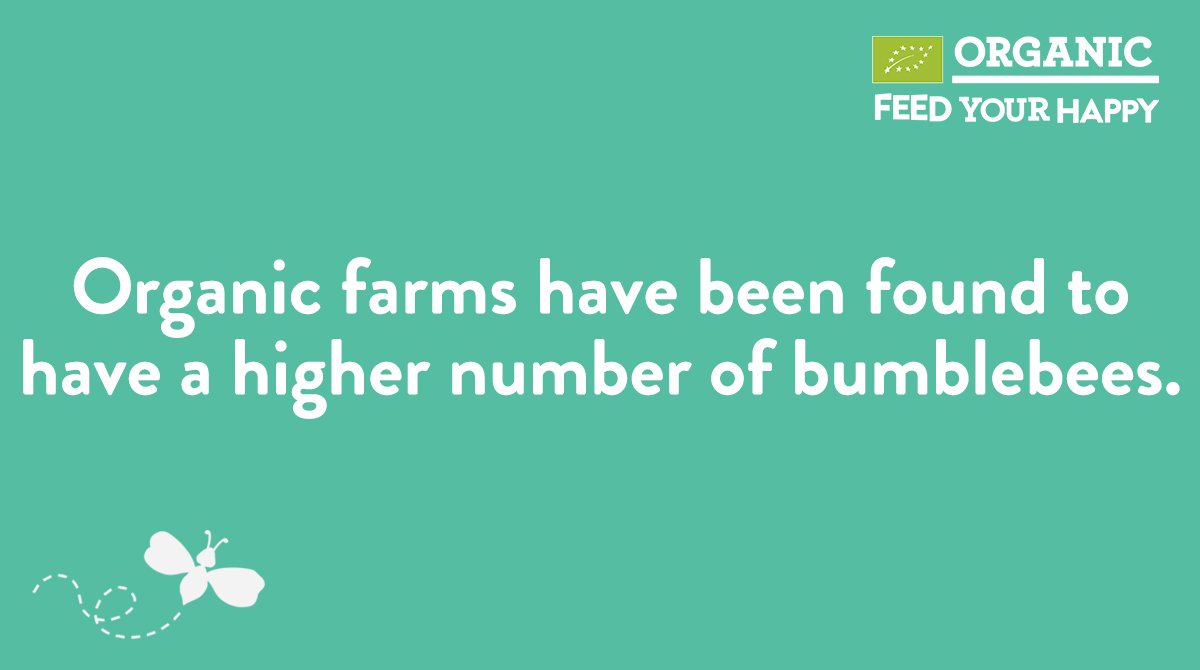 Good things happen when you go organic! 🐝
Read more: feedyourhappy.co.uk/nature