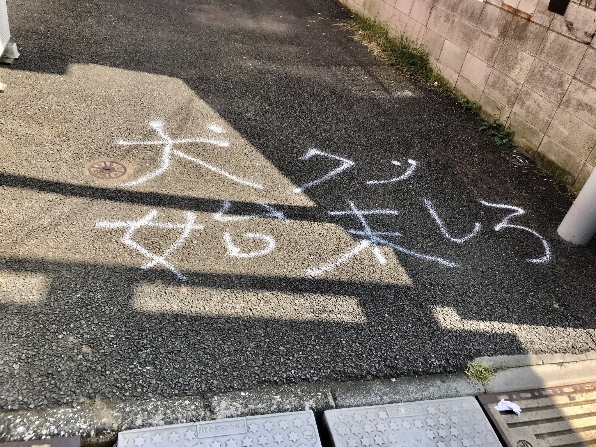 Lis ドラクエウォーク中こんなん見かけた お宅の吠えるクソ犬うるさいから始末しろ と酷い苦情落書きだと嫁さんに見せた そしたら 犬のフンは飼い主が始末して と私道の所有者の警告文じゃない と なーる そうだな 僕の心が病んでるからナナメから