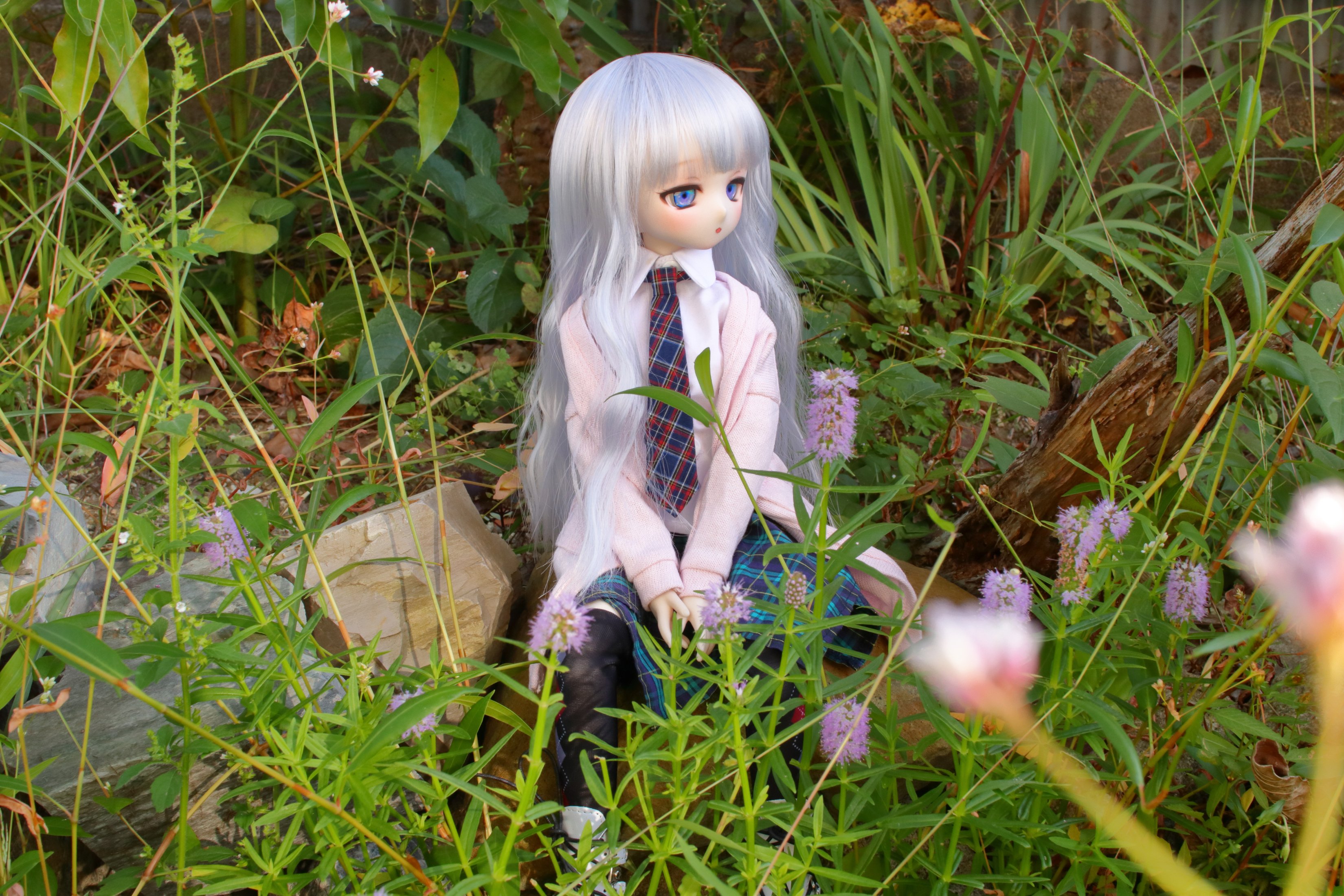 花とドール Twitter Search Twitter