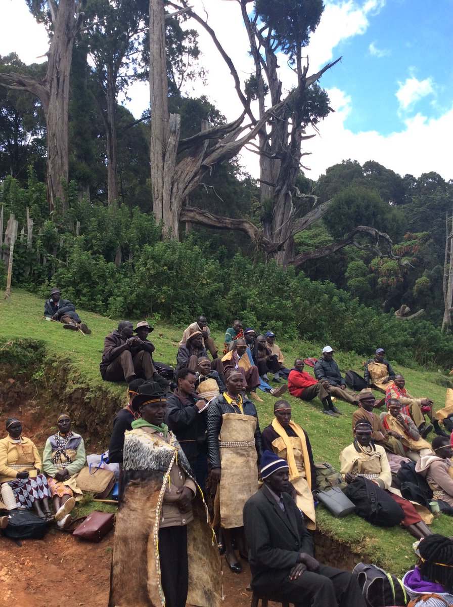 alaminkimathi's tweet photo. #Walk4JusticeKE #Sengwer indigenous people are set to leave their #EmbobutForest homes for Nairobi to demand recognition of their rights to the forest as their ancestral land. @AmnestyKenya @DefendersKE @Survival @WanjeriNderu https://t.co/Kea2XnGfHX