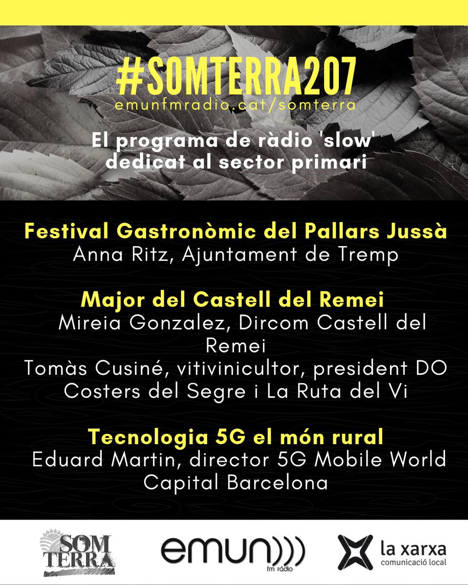 Som terra tweet media