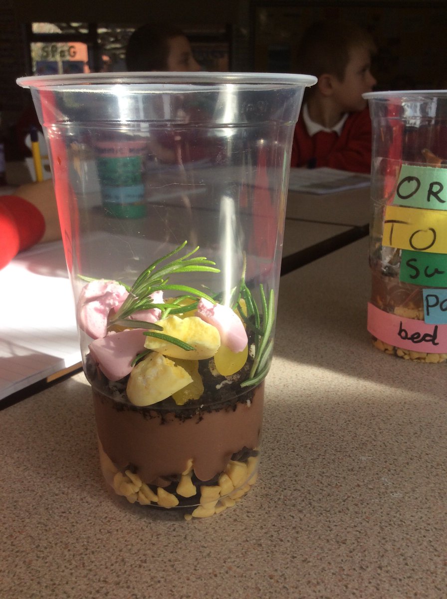 SaltergateSchs's tweet photo. Year 3 had great fun learning about the different layers of soil! Who knew dirt could be so delicious? #Saltergatespirit #ScienceROCKS #ediblelearning https://t.co/Il3Ll3YZs2