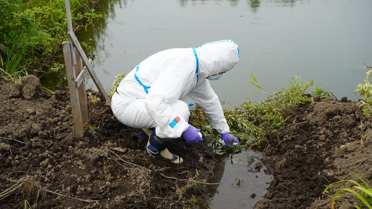 都立大島小松川公園で大雨の度に漏洩する六価クロム 台風19号の降雨で漏洩した濃度は基準値の140倍 19 10 13作成 六価クロムわんかさ公園 Togetter