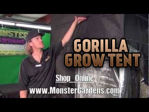 CannabisJourna1's tweet image. Gorilla Grow Tent Best Quality Light Tight Tallest Grow Tent Thickest Fabric Strongest Grow Tents dlvr.it/RFq4hc #GrowingSystems