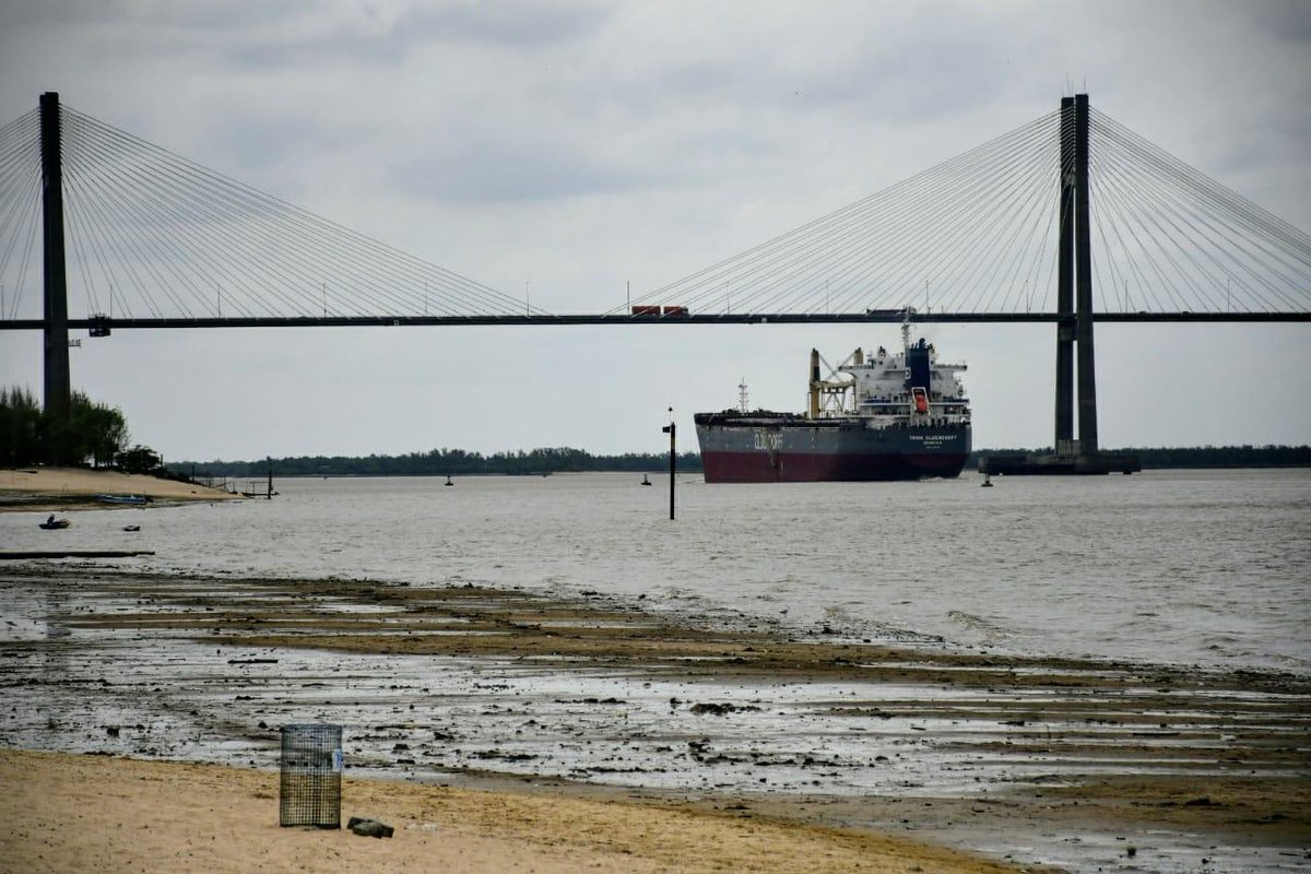 LT8am830's tweet photo. 📻#Zysman830 I Bajante del Río. 'La veníamos peleando_Algunas dragaron a un costo muy alto, al menos para que puedan flotar las unidades_El problema es que no tenemos panorama futuro_Somos 15/18 guarderías, la mayoría con unas 200/300 lanchas' #JorgePinilla (Cám Náutica Ros) https://t.co/50pjwH3N8C