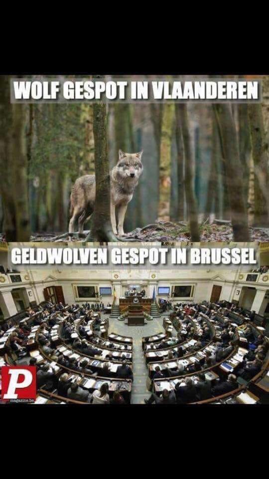 BollenYvo's tweet photo. Klopt ook nog ! 👍😎 https://t.co/CFqDOAI6bb