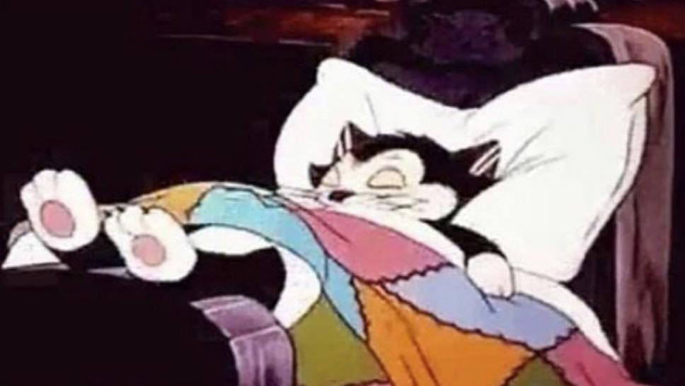 Tim Pearce tweet media