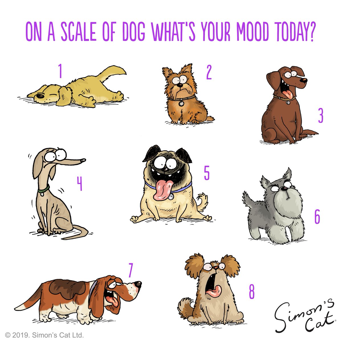 How Are You Doing Today In Dog Scale