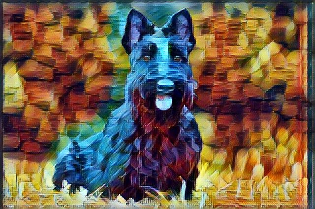 First steps with deep learning and transferring artistic styles to real-life photos. Not too shabby! #MadeWithUdacity #DeepLearning